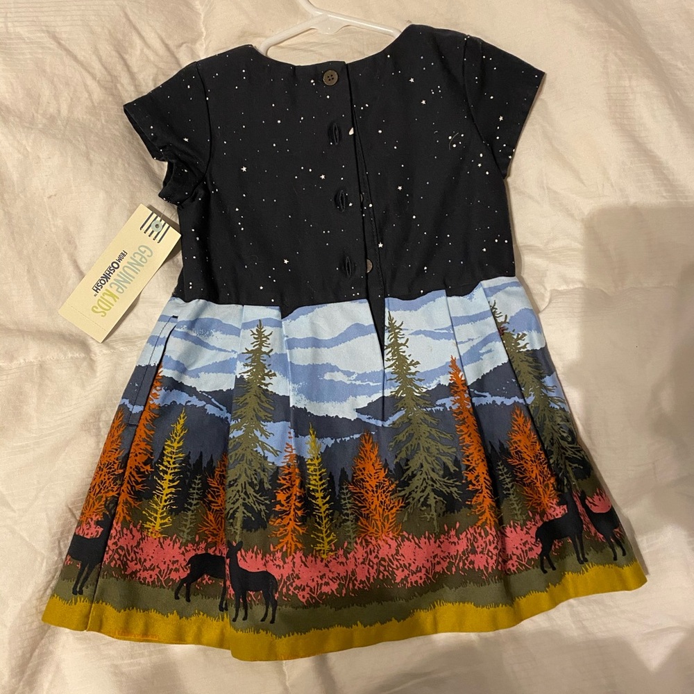 Toddler Dress